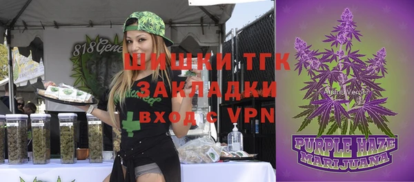 сатива Беслан