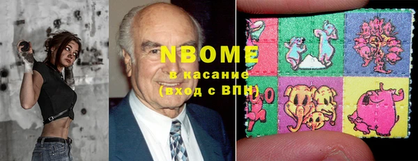 СК Новозыбков