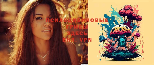 apvp Нефтегорск