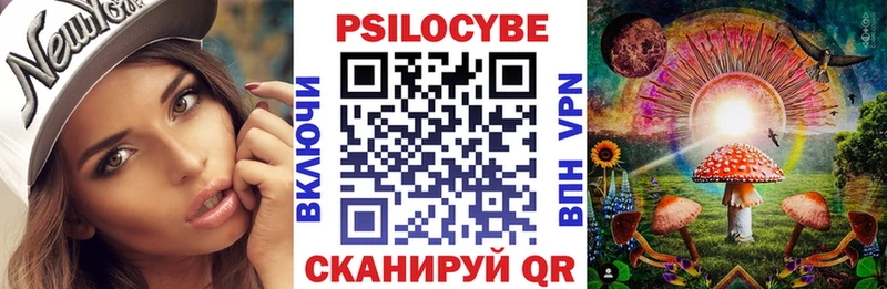 Псилоцибиновые грибы Psilocybe  купить   Сураж 